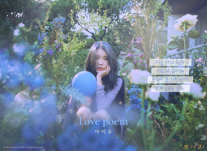 Lời đề tựa ca khúc Love Poem của IU trên MelOn: Tâm tư như dành trọn cho Sulli khiến người hâm mộ không khỏi xúc động - Ảnh 2.
