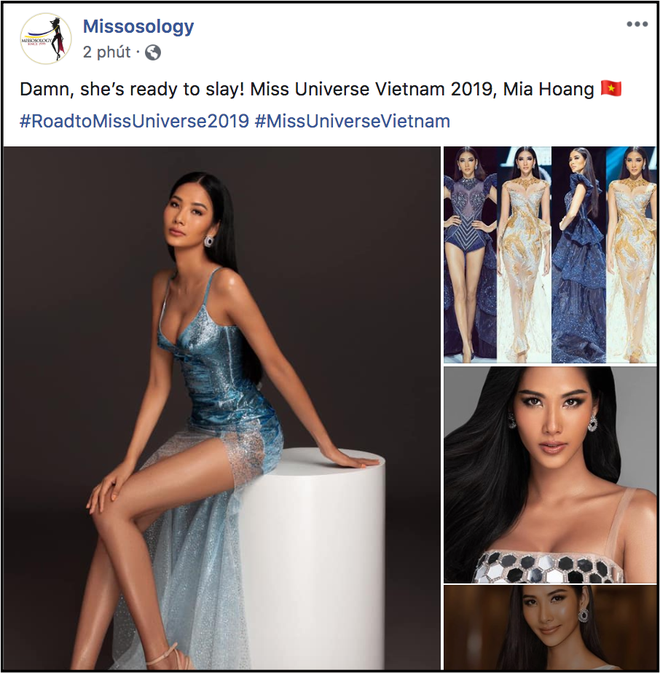 Xuất hiện tr&ecirc;n trang chủ Missosology, Ho&agrave;ng Th&ugrave;y được fan quốc tế hết lời khen ngợi v&igrave; thần th&aacute;i đ&aacute;ng gờm - Ảnh 1.