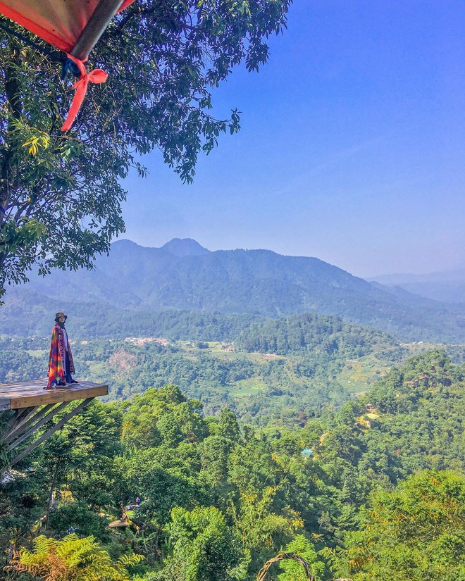 Độc nhất Indonesia quán cafe lửng lơ trên cây không dành cho hội yếu tim, dân mạng đua nhau check-in ầm ầm trên Instagram - Ảnh 9.