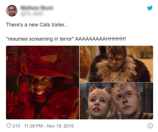 Hết hồn nhìn bầy mèo cởi truồng ở trailer Cats, cư dân mạng ái ngại đua nhau che chắn vòng 1 cho Taylor Swift - Ảnh 12.