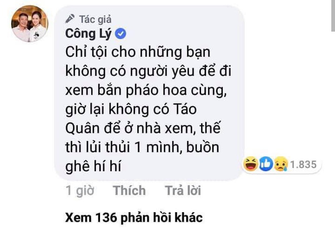 Cô Đẩu Công Lý: Chỉ tội những bạn không có người yêu cùng đi xem pháo hoa, giờ lại không có cả Táo quân... - Ảnh 3.