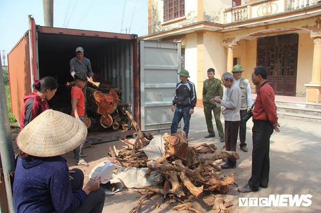 Đại hạ giá chục tỷ đồng, 5 tấn gỗ sưa ở Hà Nội vẫn không ai mua - Ảnh 1.