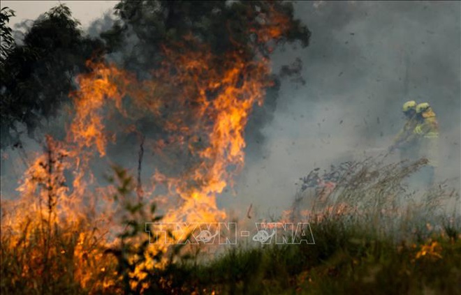  Cháy rừng nghiêm trọng ở khu vực Tây Nam nước Mỹ  - Ảnh 1.