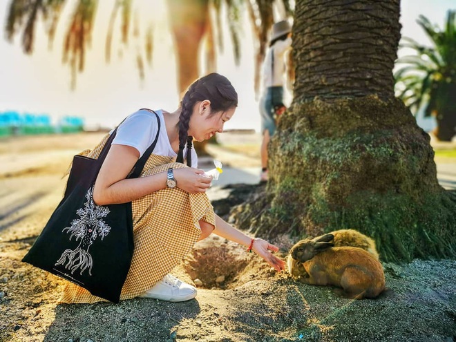 Những tọa độ du lịch tràn ngập các boss: nơi chỉ toàn chó, mèo, lợn... thậm chí còn nhiều hơn cả số người dân sống ở đó - Ảnh 13.