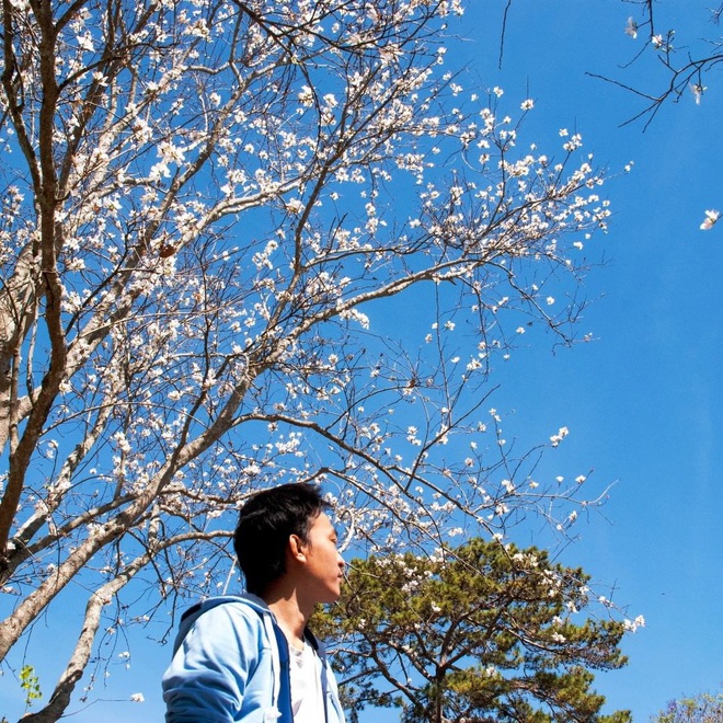 Đã phát hiện ra con đường sống ảo ngập tràn hoa ban trắng đẹp nhất Đà Lạt mùa này, lên hình cứ ngỡ nước Nhật xa xôi - Ảnh 23.