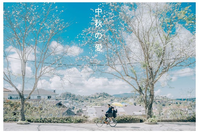 Đã phát hiện ra con đường sống ảo ngập tràn hoa ban trắng đẹp nhất Đà Lạt mùa này, lên hình cứ ngỡ nước Nhật xa xôi - Ảnh 4.