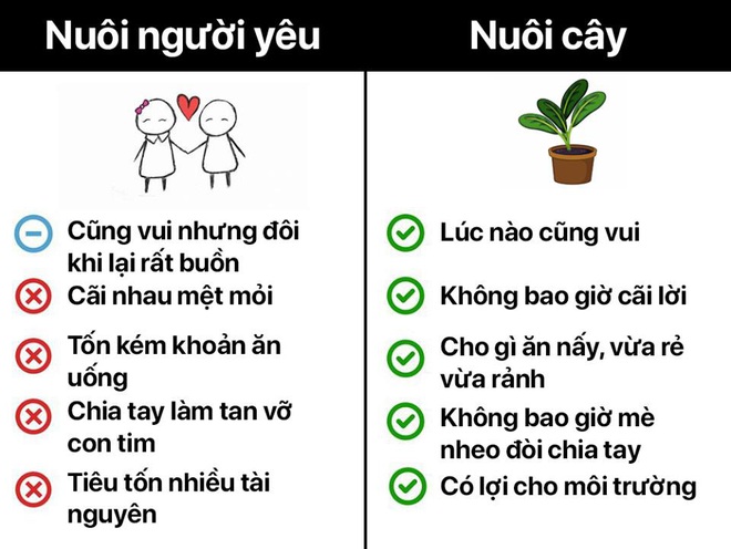 Chán khẩu nghiệp, các “liền anh”, “liền chị tìm ra thú vui mới xịn sò, rủ nhau bớt sân si - Ảnh 1.