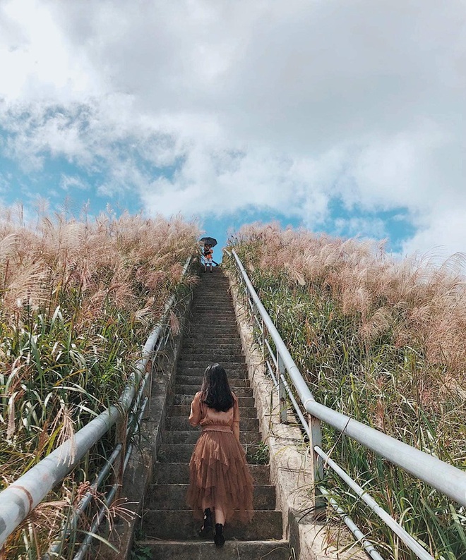 “Sống lưng khủng long” Bình Liêu đang vào mùa cỏ lau đẹp như một giấc mơ, xem ảnh chỉ biết ôm mộng được đến 1 lần! - Ảnh 21.