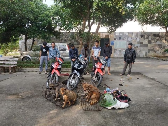 Nhóm “cẩu tặc” dùng vũ khí nóng thực hiện 70 vụ trộm chó ở Nghệ An - Ảnh 1.