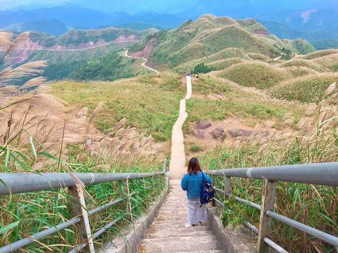 “Sống lưng khủng long” Bình Liêu đang vào mùa cỏ lau đẹp như một giấc mơ, xem ảnh chỉ biết ôm mộng được đến 1 lần! - Ảnh 2.