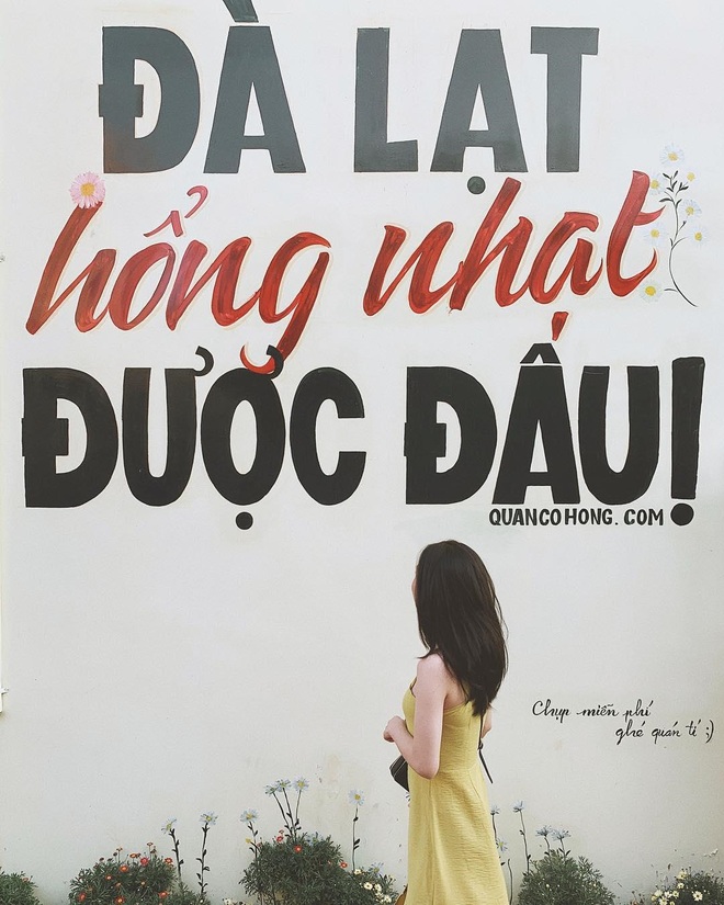 Quên tiệm bánh Cối Xay Gió đi, đến Đà Lạt check-in 7 bức tường quyền lực này ngay thôi! - Ảnh 1.