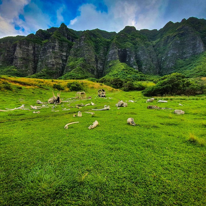 Kualoa Ranch, phim trường cực xịn xò trong bom tấn Jumanji hóa ra lại là điểm đến thu hút cực đông khách du lịch tại Hawaii - Ảnh 4.