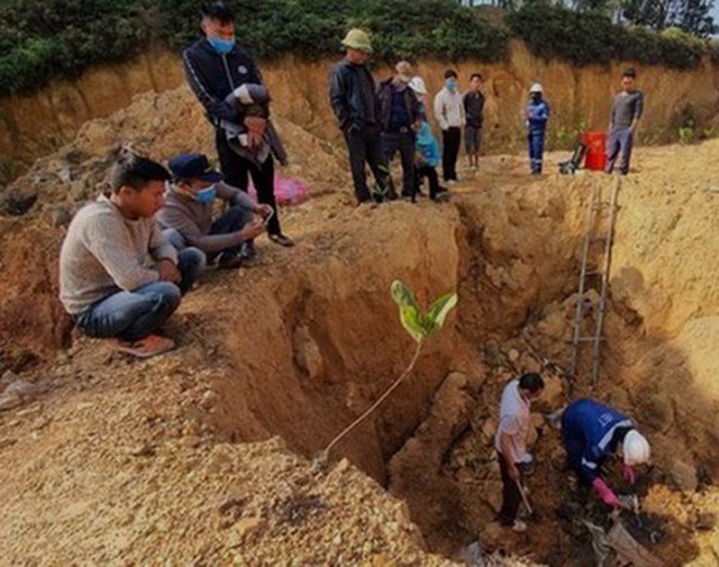 Chủ tịch HĐQT hợp tác xã Môi trường xanh Bắc Sơn chủ mưu vụ đổ, chôn chất thải nguy hại ở Sóc Sơn - Ảnh 1.