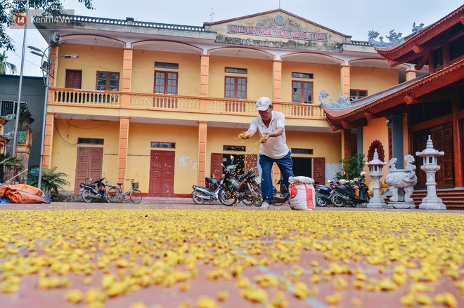 Cánh đồng hoa cúc chi nở vàng rực gần Hà Nội, người dân ồ ạt kéo đến chụp ảnh - Ảnh 13.