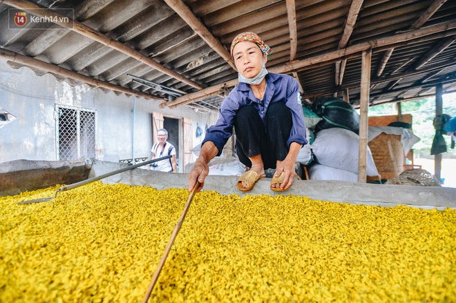 Cánh đồng hoa cúc chi nở vàng rực gần Hà Nội, người dân ồ ạt kéo đến chụp ảnh - Ảnh 14.