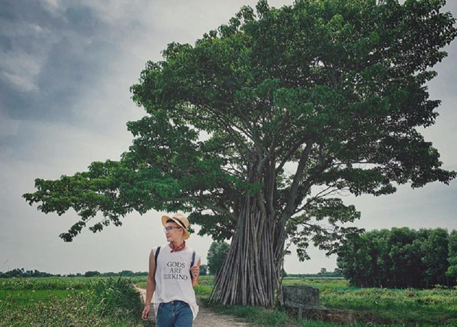 Mục sở thị c&acirc;y c&ocirc; đơn trong phim Mắt Biếc của Victor Vũ: bỗng chốc trở th&agrave;nh điểm check in được nhiều người y&ecirc;u th&iacute;ch - Ảnh 14.