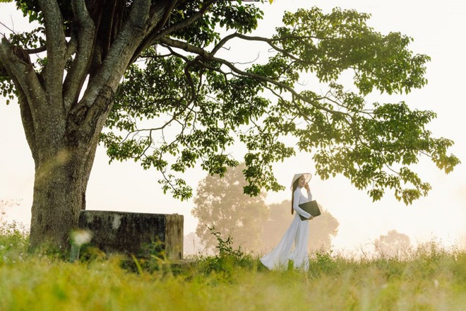 Mục sở thị c&acirc;y c&ocirc; đơn trong phim Mắt Biếc của Victor Vũ: bỗng chốc trở th&agrave;nh điểm check in được nhiều người y&ecirc;u th&iacute;ch - Ảnh 5.