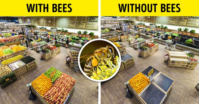 Nếu một ng&agrave;y kiến, gi&aacute;n, muỗi, ruồi... biến mất ho&agrave;n to&agrave;n sẽ rất tuyệt đ&uacute;ng kh&ocirc;ng? Bạn lầm to rồi v&agrave; đ&acirc;y l&agrave; c&acirc;u trả lời - Ảnh 1.