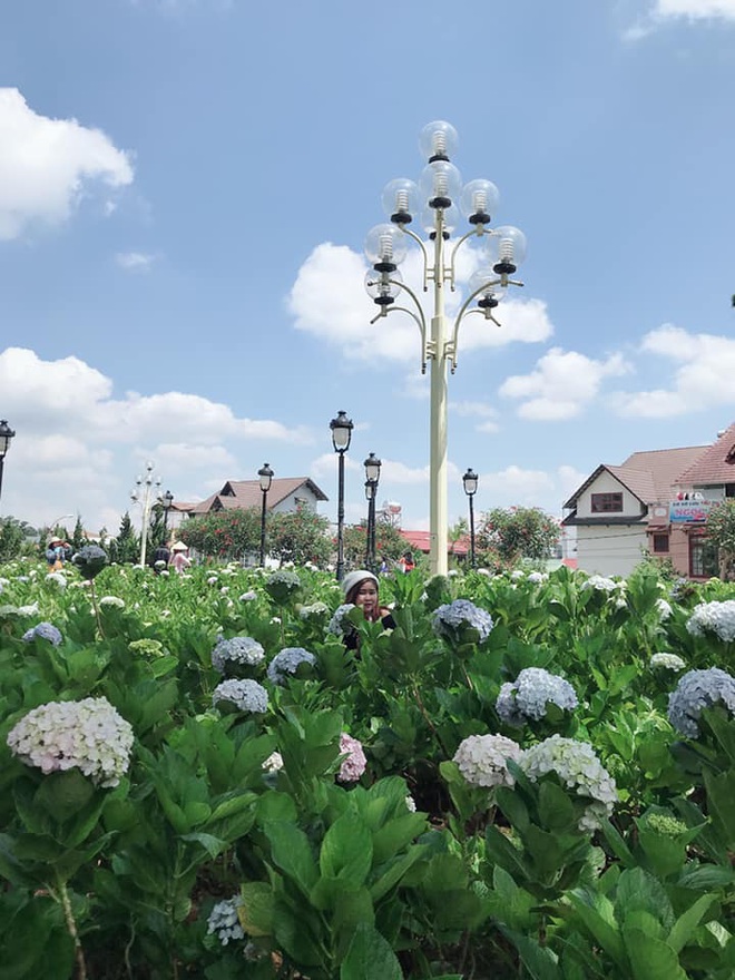 Nhờ lũ bạn chụp hình không có tâm mà giờ hội ghiền sống ảo lại phát hiện thêm trend chụp ảnh “đố anh bắt được em” mới toanh! - Ảnh 7.