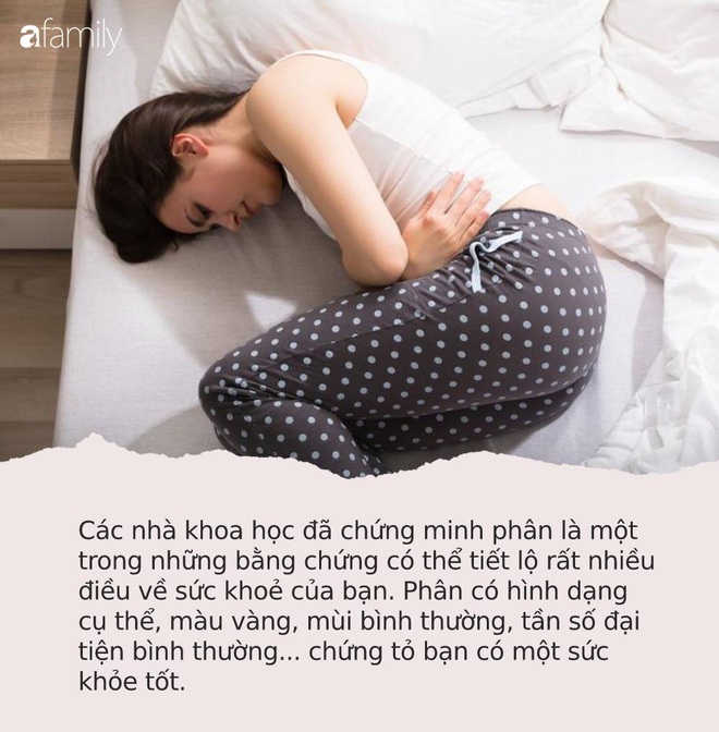 Khối nhận thức hình dạng đầy màu sắc bé Đồ chơi giáo dục phân loại đồ chơi  trò chơi đồ chơi Montessori quenais gia đình biểu hiện đầy màu sắc trẻ em