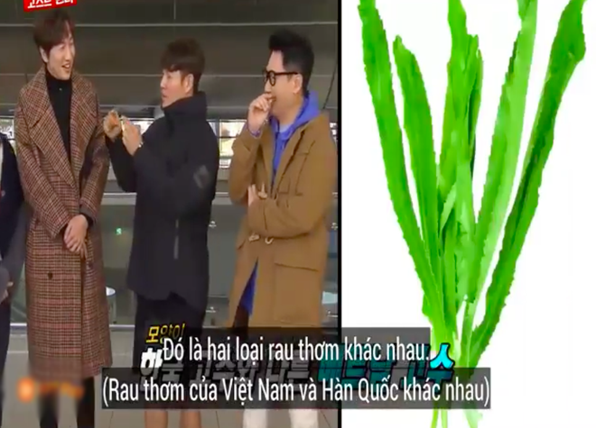 Các thành viên Running Man Hàn “lú lẫn” vì loại rau thơm khi ăn kèm với phở ở Việt Nam, chú Ji Suk Jin còn bị một vố “quê độ” - Ảnh 7.