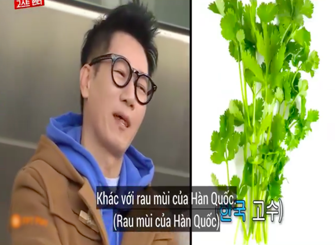 Các thành viên Running Man Hàn “lú lẫn” vì loại rau thơm khi ăn kèm với phở ở Việt Nam, chú Ji Suk Jin còn bị một vố “quê độ” - Ảnh 6.