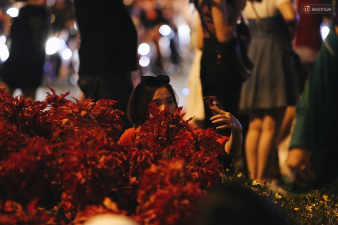 Bất chấp biển cấm, người dân vẫn giẫm đạp lên vườn hoa trước Nhà thờ Đức Bà trong đêm Noel ở Sài Gòn - Ảnh 12.