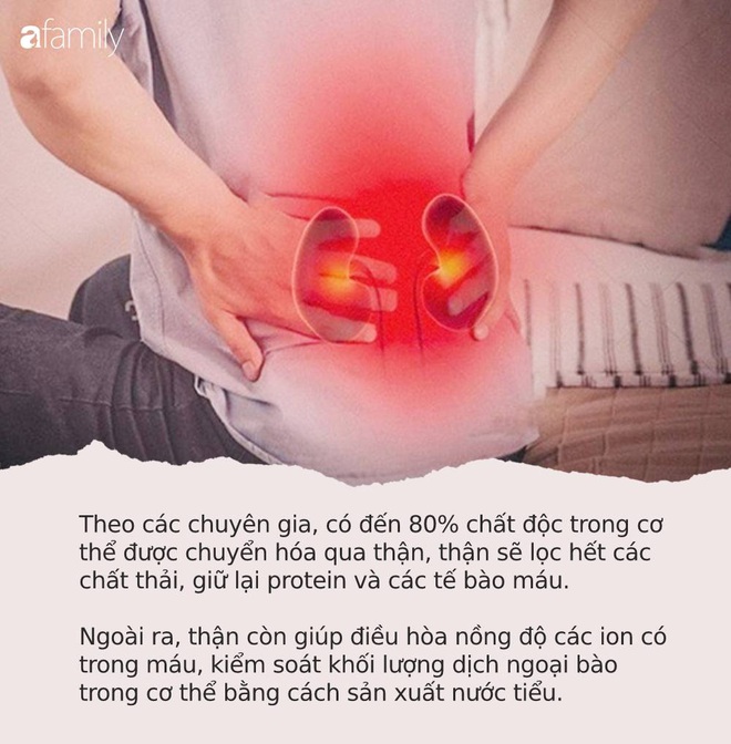 4 dấu hiệu “bốc mùi” trên cơ thể cho thấy thận của bạn chắc chắn đang dần suy yếu - Ảnh 1.