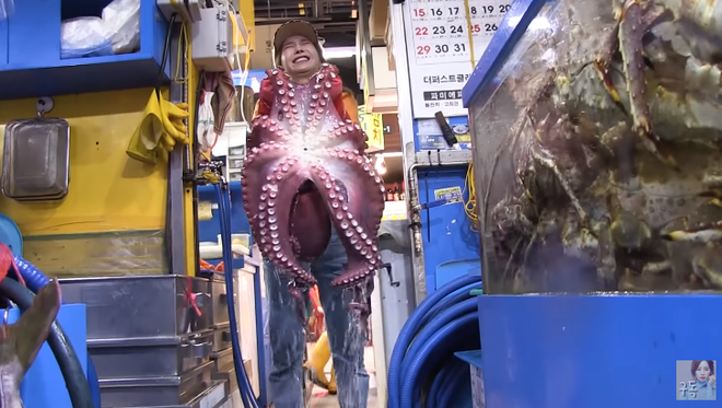 Góc mệt giùm: Youtuber Ssoyoung lăn đùng ngã ngửa giữa chợ vì vật lộn với con bạch tuộc siêu to khổng lồ - Ảnh 6.