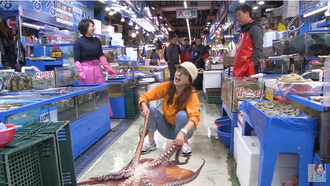 Góc mệt giùm: Youtuber Ssoyoung lăn đùng ngã ngửa giữa chợ vì vật lộn với con bạch tuộc siêu to khổng lồ - Ảnh 2.