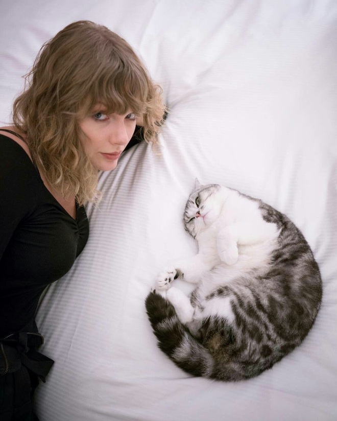 Vì quá cuồng hoàng thượng, Taylor Swift bất chấp đâm đầu đóng mèo hai chân không mặc nội y ở Cats - Ảnh 5.