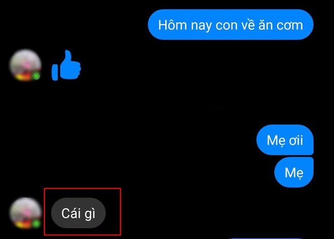 Cười ngất 1001 cách nhắn tin như xát muối vào tim con của cha mẹ: Lúc chỉ ừ phũ phàng, lúc lại đáng sợ con kia mày về đây - Ảnh 12.