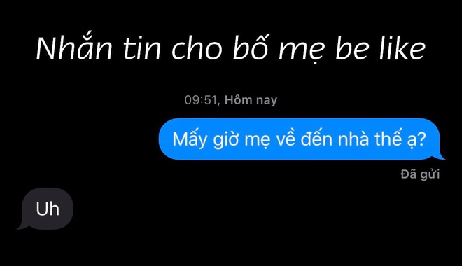 Cười ngất 1001 cách nhắn tin như xát muối vào tim con của cha mẹ: Lúc chỉ ừ phũ phàng, lúc lại đáng sợ con kia mày về đây - Ảnh 1.