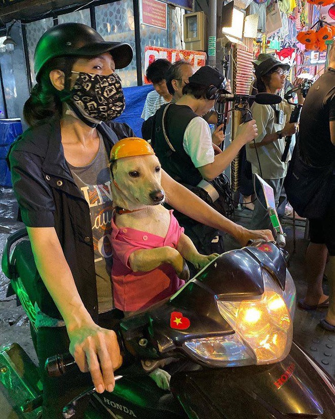 Tình cũ GD Kiko Mizuhara khoe ảnh yêu kiều mặc áo dài Việt Nam, thích thú với chú chó đội mũ bảo hiểm siêu cute - Ảnh 4.