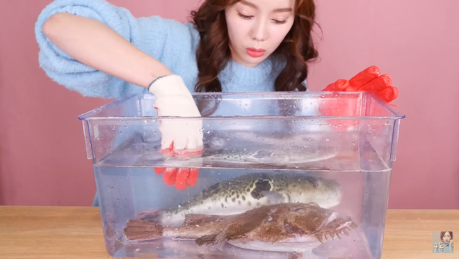 Được mệnh danh là thánh ăn cá ấy thế mà lần nào làm video mukbang cá, Youtuber Ssoyoung cũng bị vật đến thê thảm - Ảnh 1.