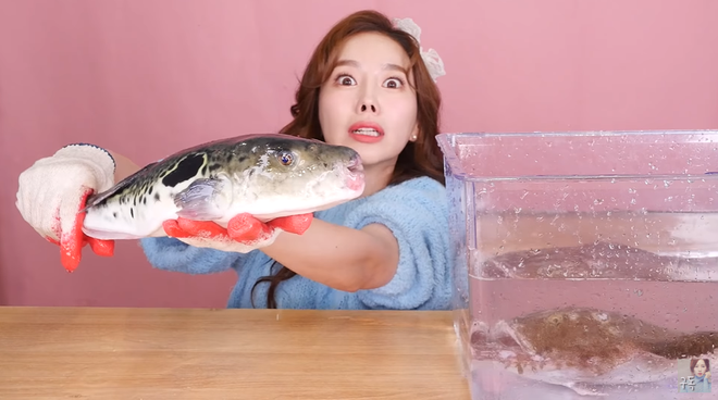 Được mệnh danh là thánh ăn cá ấy thế mà lần nào làm video mukbang cá, Youtuber Ssoyoung cũng bị vật đến thê thảm - Ảnh 6.