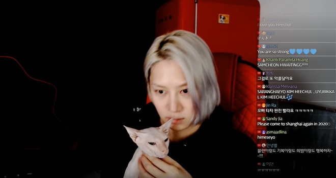 Heechul xác nhận nuôi thú cưng của Sulli, tiết lộ từng khóc không dứt vì tình trạng của chú mèo đắt nhất nhì hành tinh - Ảnh 3.