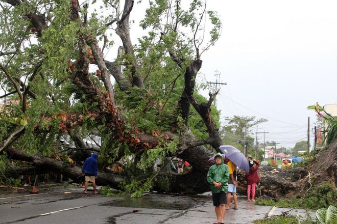 Ảnh: Cảnh tượng đổ nát sau khi bão Kammuri càn quét qua Philippines - Ảnh 4.