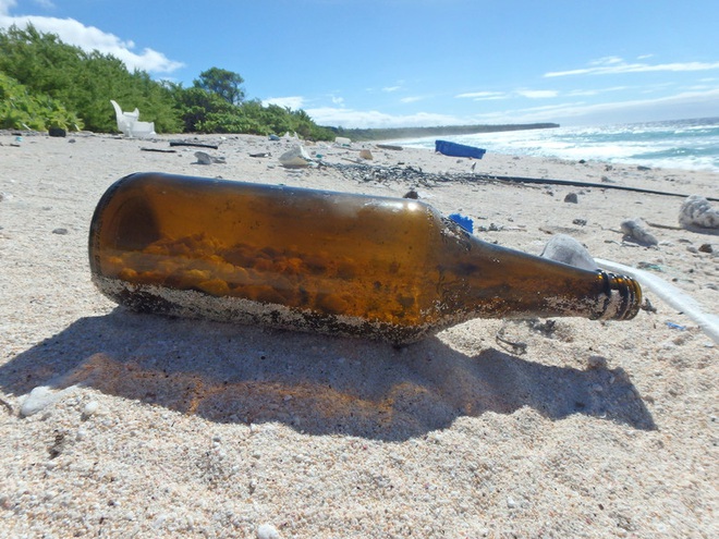 Thảm họa sinh thái: Nửa triệu sinh vật đã phải bỏ xác tại hòn đảo đang ngập trong hàng trăm triệu mảnh rác nhựa  - Ảnh 5.