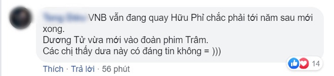 Hết cặp kè với Tiêu Chiến, Dương Tử lăm le cuỗm thêm Vương Nhất Bác ở bom tấn truyền hình dài như Cô Dâu 8 Tuổi? - Ảnh 3.