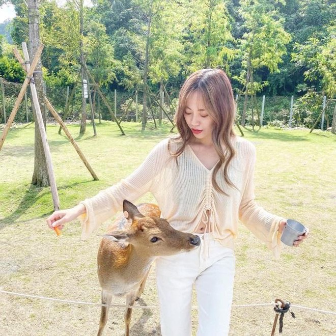 Khám phá xứ sở Bambi ở Đài Loan, nơi mà tất tần tật mọi thứ đều liên quan đến những chú hươu sao cực đáng yêu - Ảnh 2.