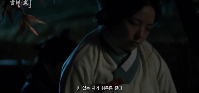 Haechi của hoàng tử cổ trang Jung Il Woo xoắn não fan từ phút đầu tiên - Ảnh 3.