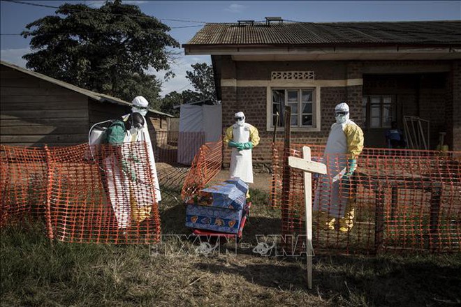  Dịch Ebola bùng phát, 502 người thiệt mạng tại Congo  - Ảnh 1.