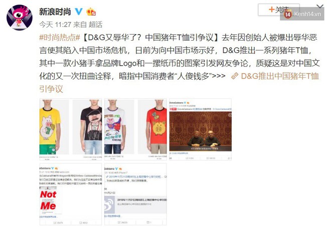 Trang Sina tự hỏi: “Ý Dolce & Gabbana là người Trung Quốc giàu có nhưng ngu ngốc?” khi hãng ra mắt BST hình heo cầm xấp tiền - Ảnh 3.