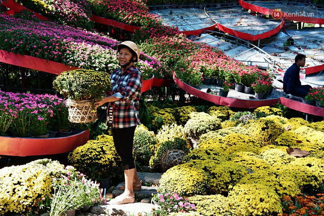 Hội hoa Xuân kết thúc, người dân Sài Gòn hào hứng xin hoa miễn phí về chưng cho đỡ uổng phí - Ảnh 10.