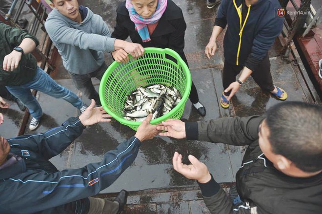 Hà Nội: Gần 10 tấn cá được hàng nghìn phật tử chuyền tay nhau trong lễ phóng sinh đầu năm - Ảnh 3.