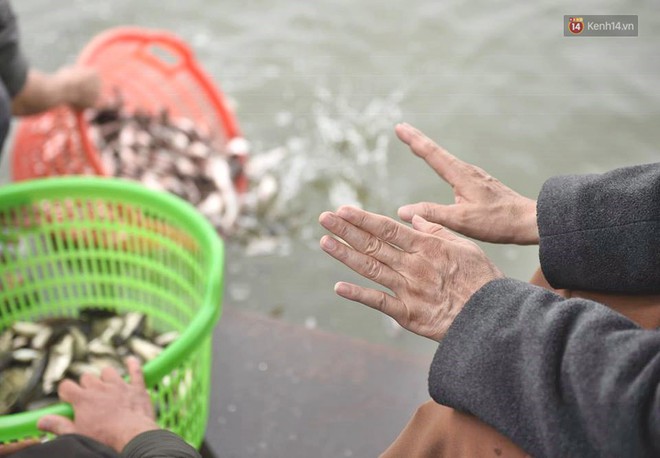 Hà Nội: Gần 10 tấn cá được hàng nghìn phật tử chuyền tay nhau trong lễ phóng sinh đầu năm - Ảnh 5.