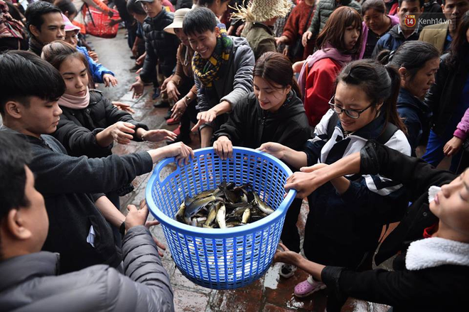 Hà Nội: Gần 10 tấn cá được hàng nghìn phật tử chuyền tay nhau trong lễ phóng sinh đầu năm - Ảnh 10.