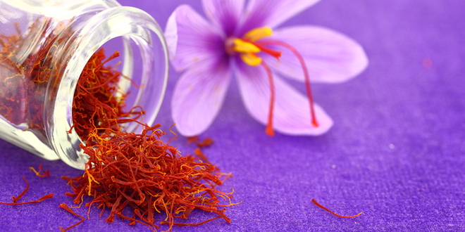 Saffron không tự nhiên mà đắt, cách người ta sản xuất ra nó cầu kì đến thế này cơ mà - Ảnh 4.