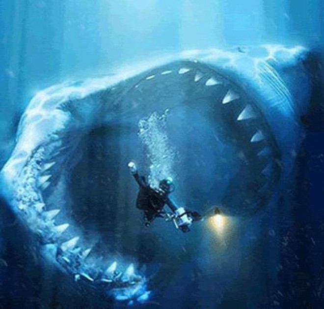 Sinh vật đã từng giết chết siêu quái vật Megalodon có thể đang tồn tại ngay lúc này - Ảnh 4.